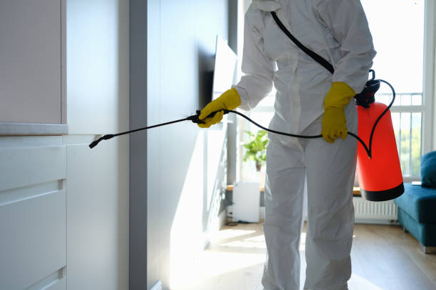 Best Best Mold Removal Companies  in Frankenmuth, MI